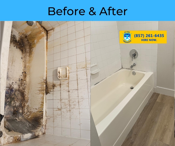 Bathroom mold removal and deep cleaning transformation