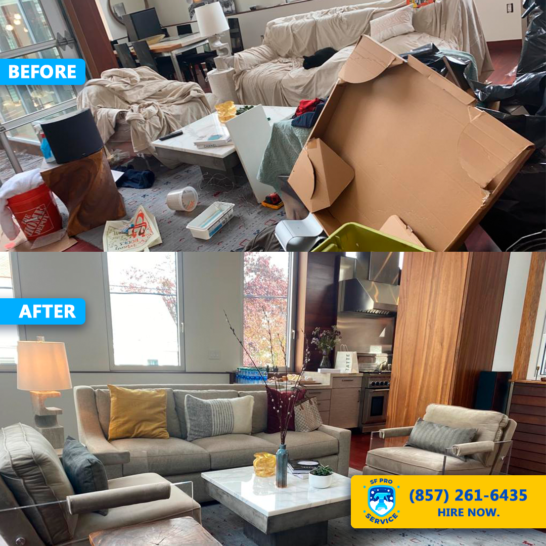 Living room transformation - before and after cleaning
