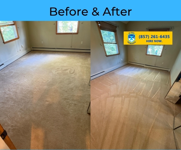 Room carpet cleaning transformation